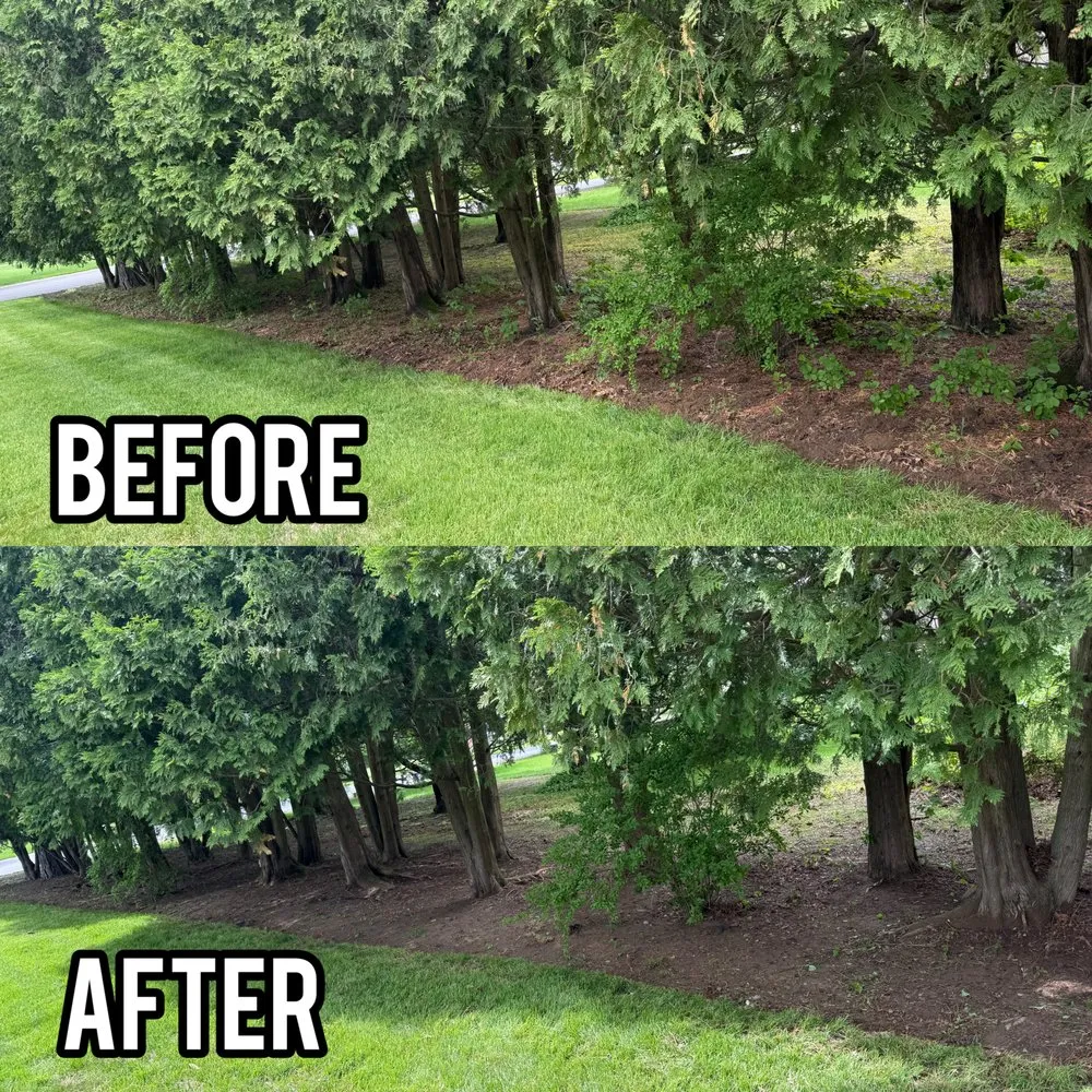 Expert outdoor landscaping for homes across Bedford, NH - Gaffney Property Services