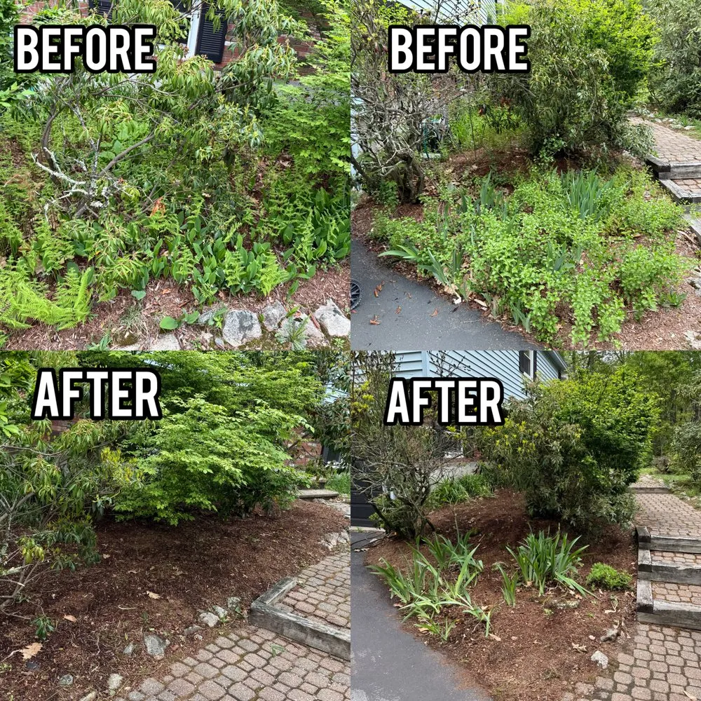 Trusted outdoor landscaping for homes in Bedford, NH by Gaffney Property Services