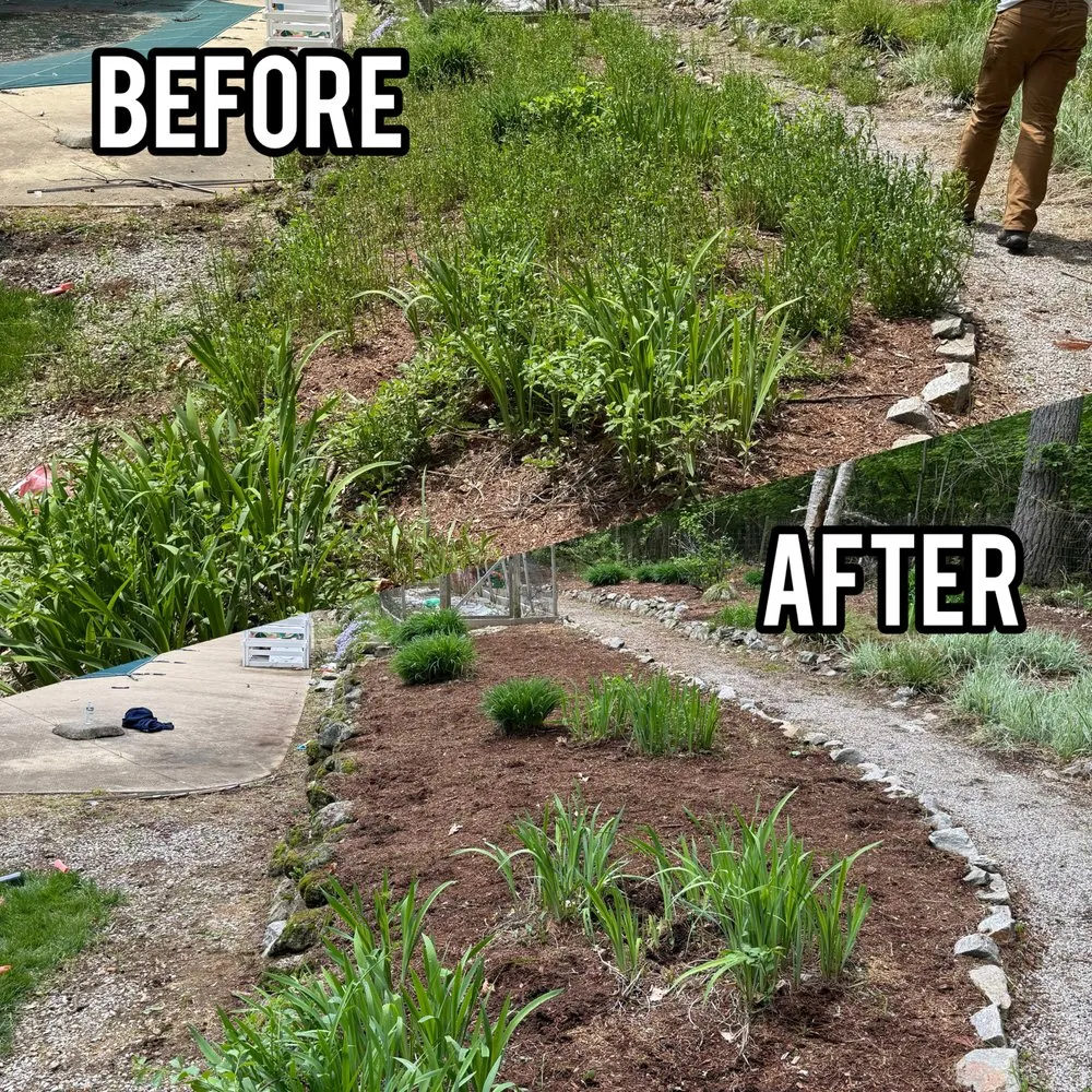 Top-rated residential landscaping for outdoor upgrades in Bedford, NH by Gaffney Property Services