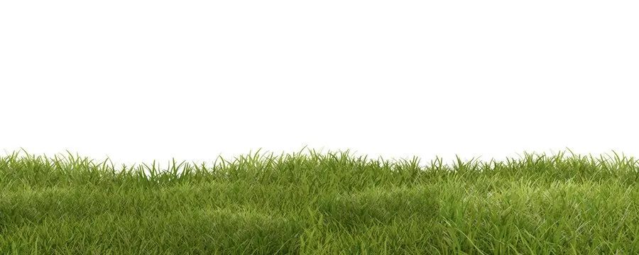 Professional yard maintenance in Findlay, OH - Gage and Dillon Lawn Mowing