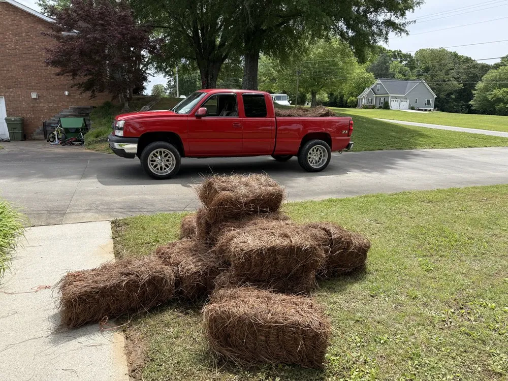 Professional yard cleanup service in Lexington, NC - Gage landscaping