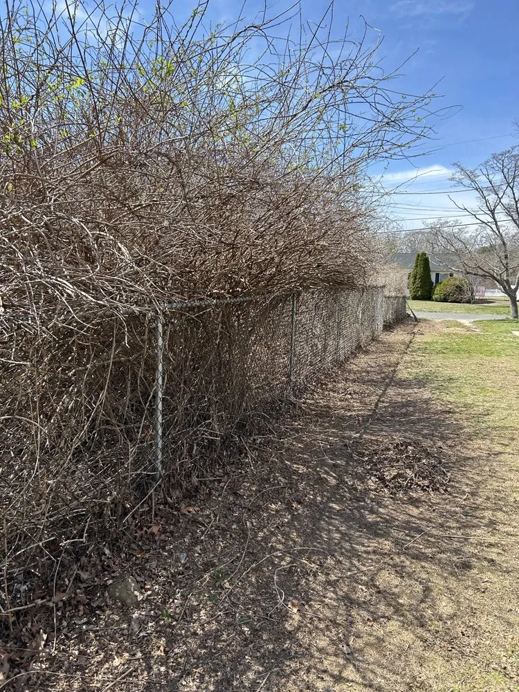 Trusted lawn mowing service with custom design in Millville, NJ by Gages Landscaping