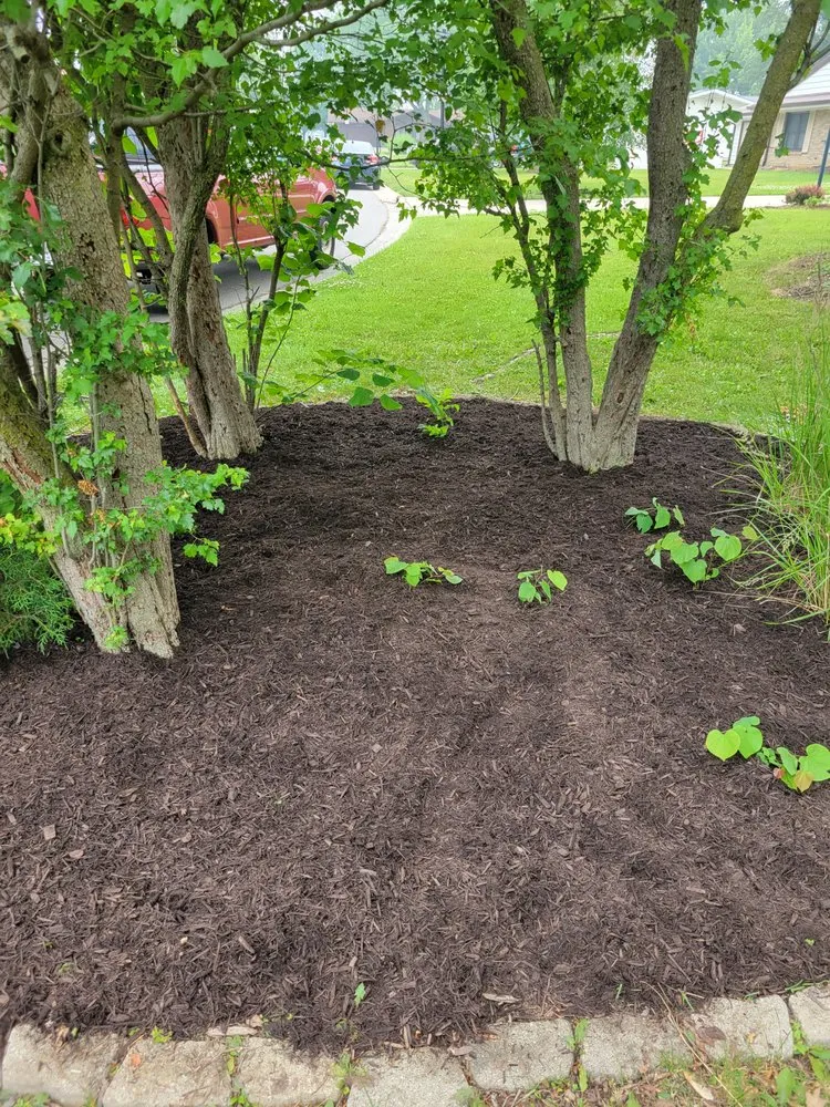 Reliable garden landscaping near you in Fort Wayne, IN by Gage's Lawn Care