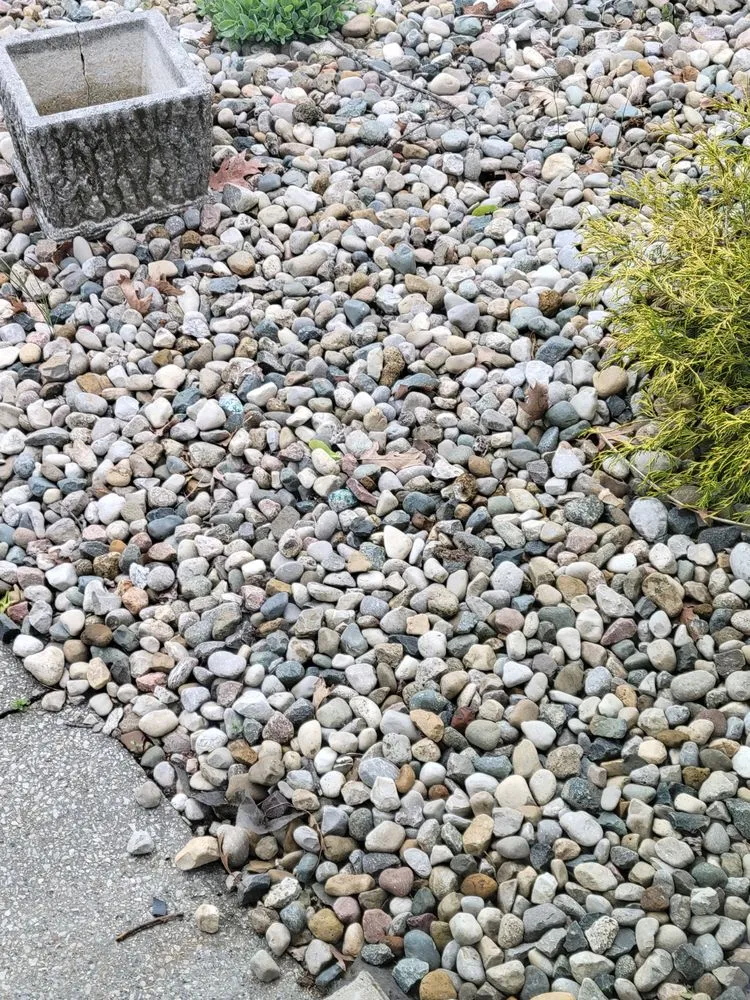 Top-rated lawn mowing service for beautiful yards across Fort Wayne, IN - Gage's Lawn Care