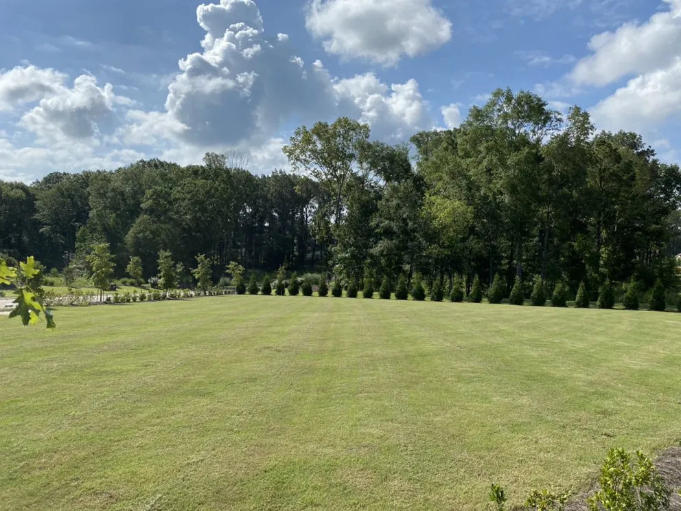 Expert landscape design in Madison, MS by Gagneaux Landscaping And Lawn Care