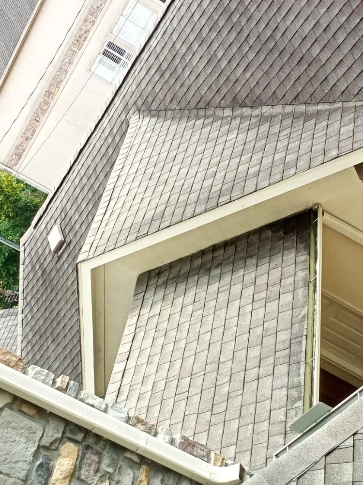 Custom lawn mowing service in Crosby, TX by Gaia All In One