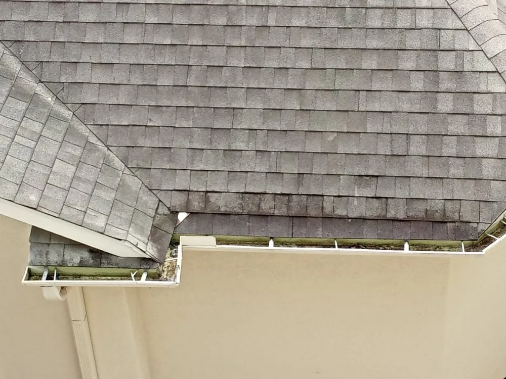 Professional yard cleanup service in Crosby, TX by Gaia All In One