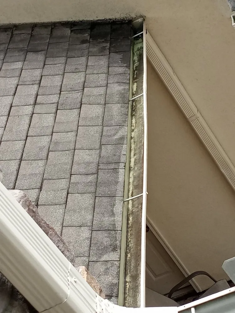 Top-rated landscape design in Crosby, TX - Gaia All In One