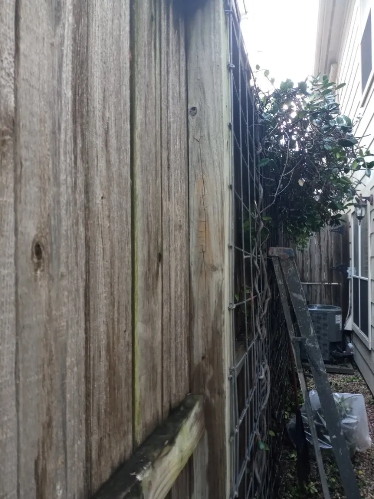 Expert residential landscaping in Crosby, TX - Gaia All In One