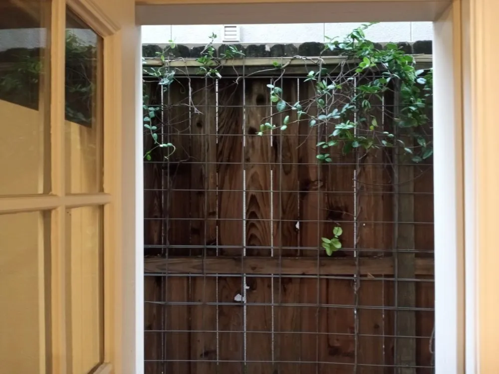 Custom yard cleanup service experts serving Crosby, TX - Gaia All In One