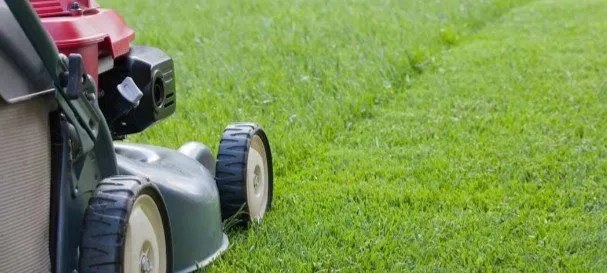 Custom landscape installation for outdoor upgrades across Crosby, TX - Gaia All In One