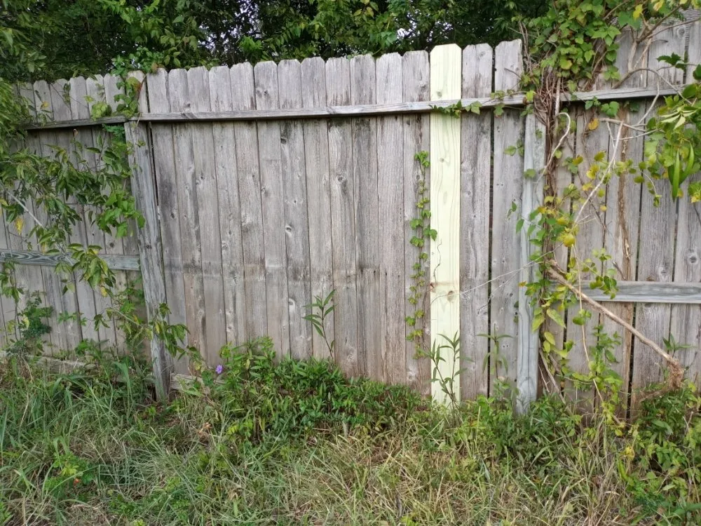 Top-rated yard cleanup service in Crosby, TX by Gaia All In One