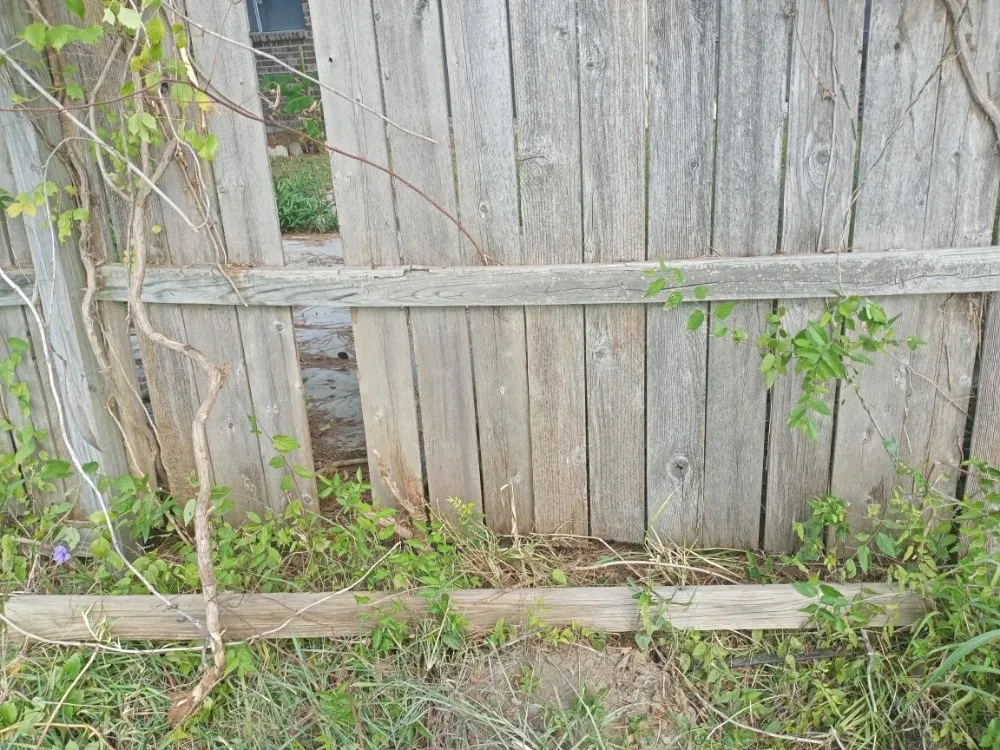 Local garden landscaping in Crosby, TX - Gaia All In One