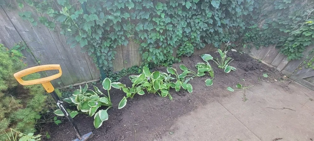 Custom residential landscaping experts serving Aurora, IL - Gaia Garden