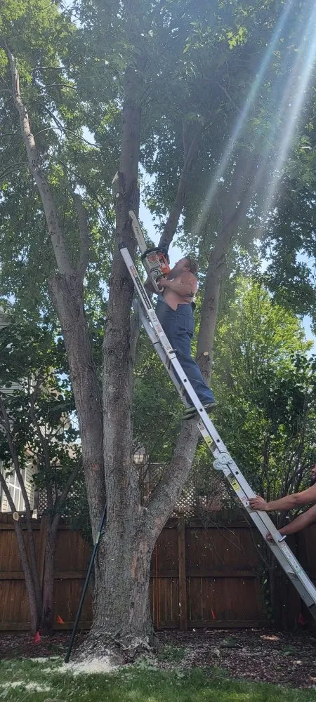 Affordable outdoor landscaping experts serving Aurora, IL - Gaia Garden