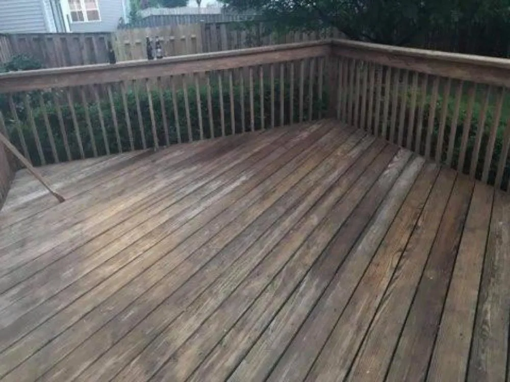 Custom yard cleanup service in Aurora, IL - Gaia Garden