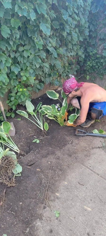 Trusted lawn mowing service for homes across Aurora, IL - Gaia Garden