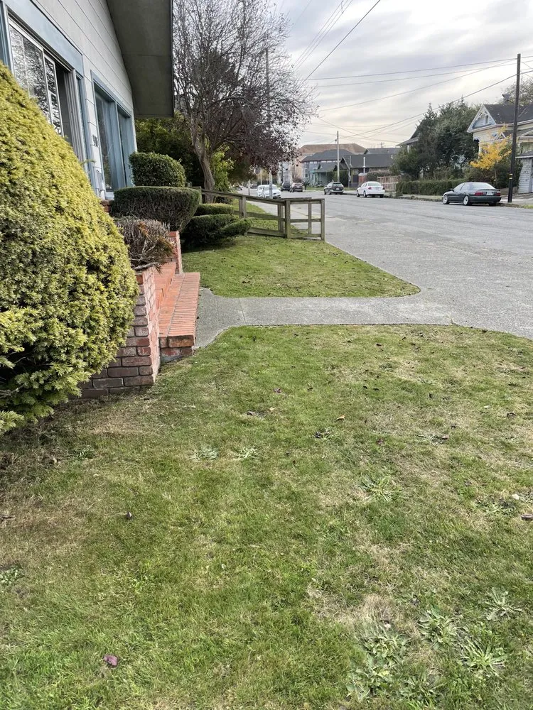 Custom lawn care service near you in Arcata, CA by Gaia Garden Design