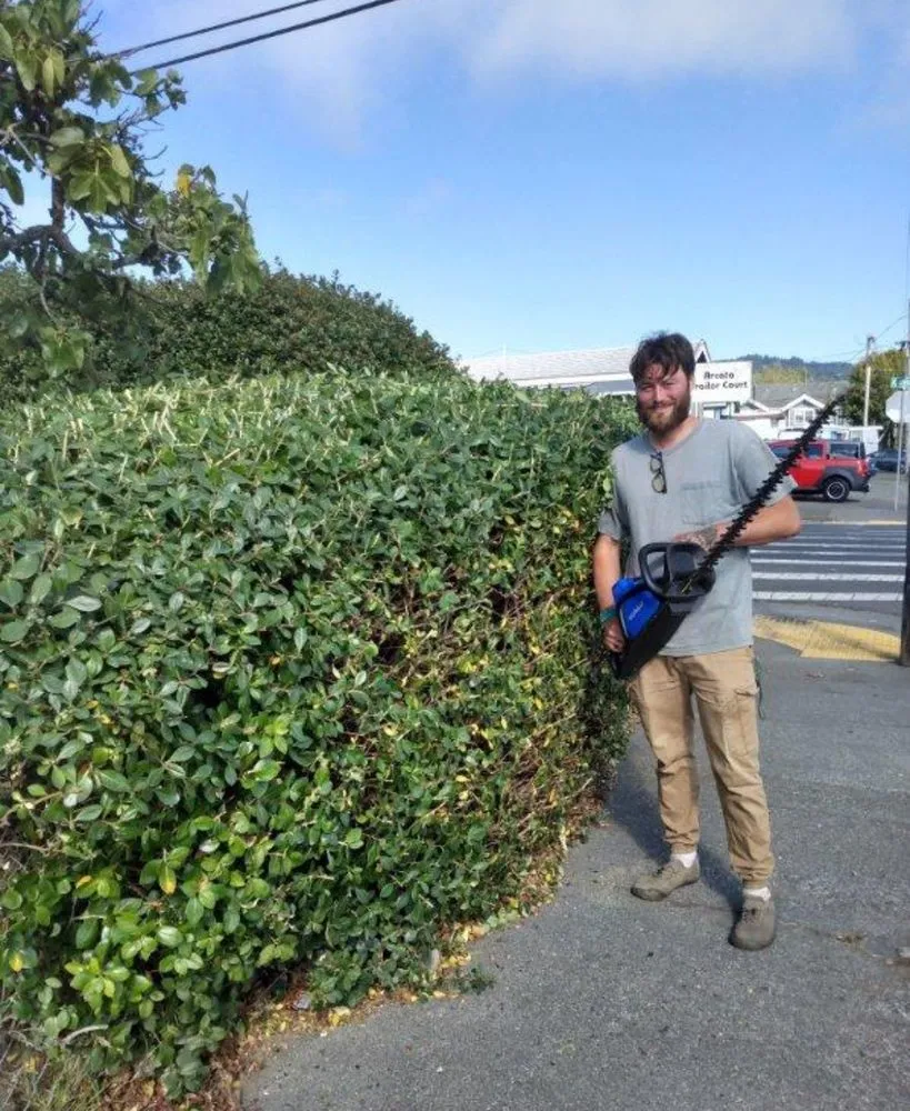 Trusted outdoor landscaping in Arcata, CA - Gaia Garden Design