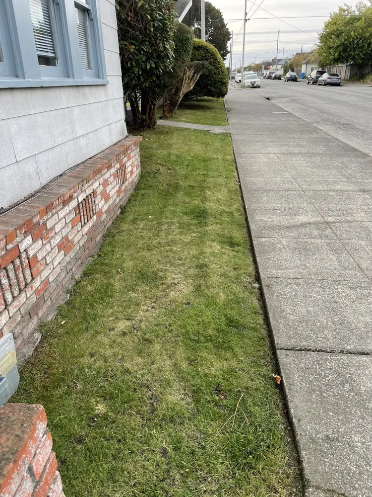 Professional residential landscaping in Arcata, CA by Gaia Garden Design