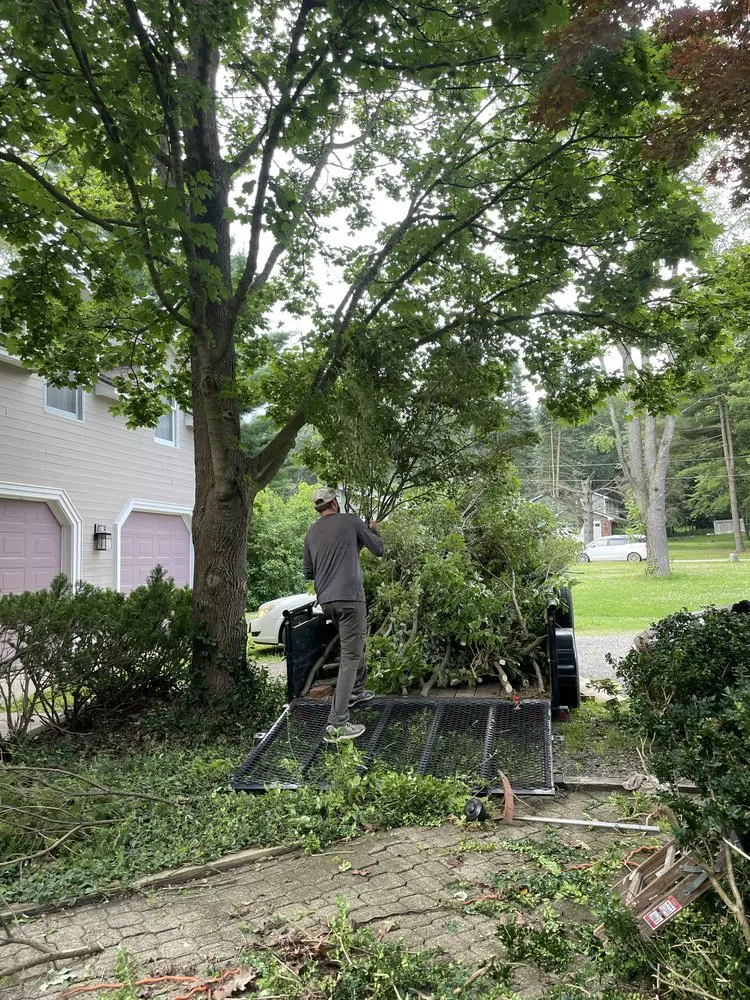 Affordable landscape installation with custom design in Arcata, CA by Gaia Garden Design