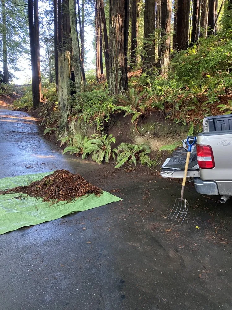 Reliable landscaping services in Arcata, CA - Gaia Garden Design