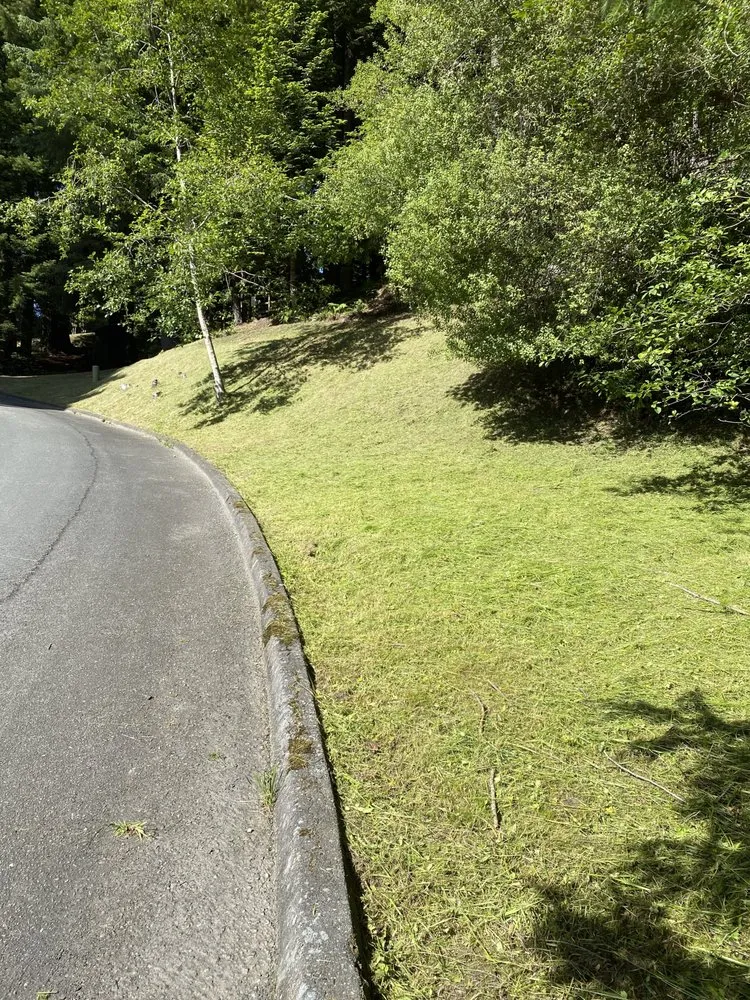 Reliable garden landscaping with custom design across Arcata, CA - Gaia Garden Design