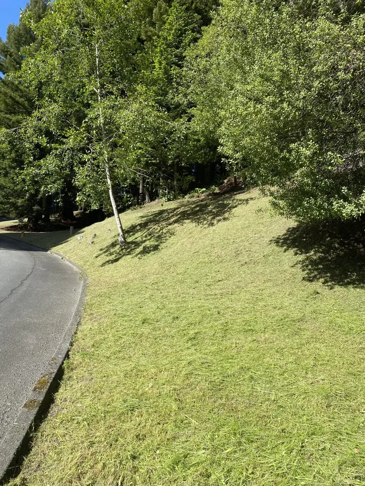 Trusted yard maintenance for year-round maintenance across Arcata, CA - Gaia Garden Design