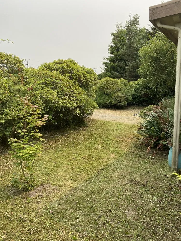 Custom yard cleanup service near you across Arcata, CA - Gaia Garden Design