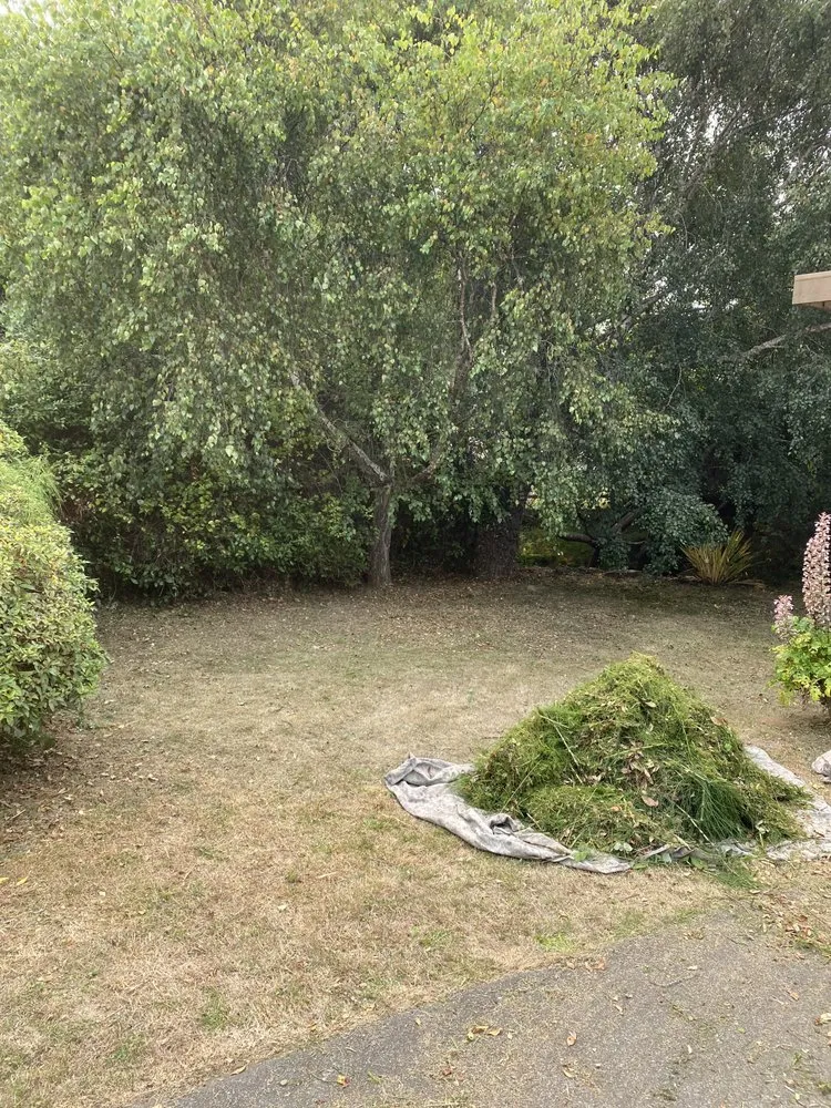 Expert landscaping services with custom design across Arcata, CA - Gaia Garden Design