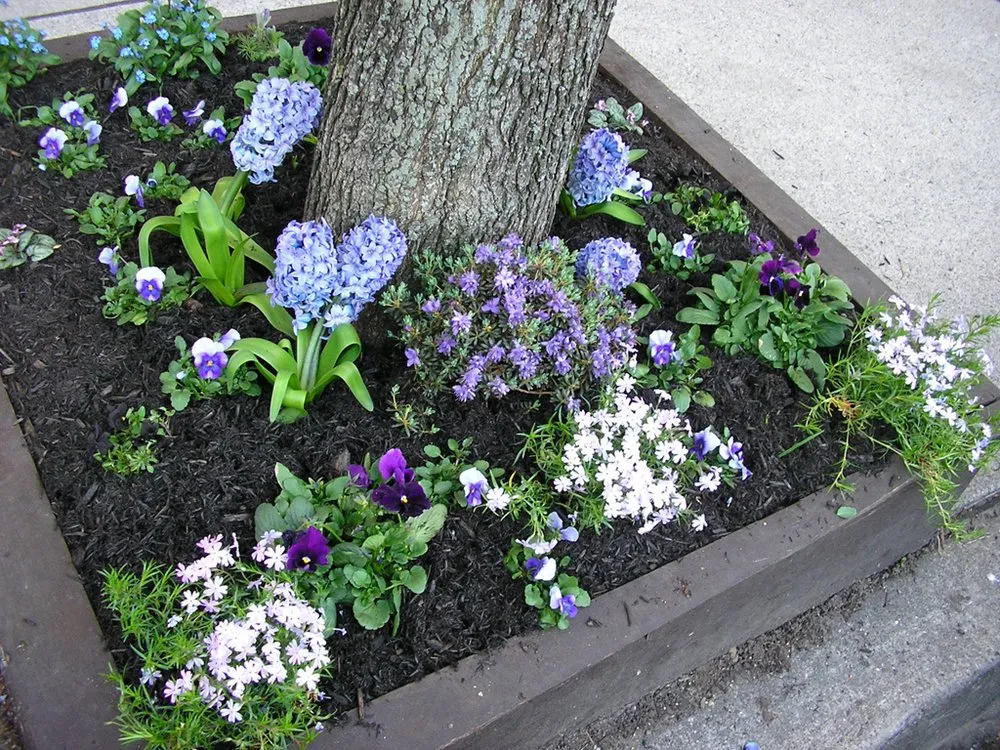 Reliable residential landscaping in Montclair, NJ by Gaia Gardens