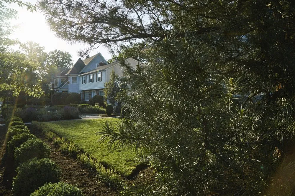 Local lawn care service in Montclair, NJ by Gaia Gardens