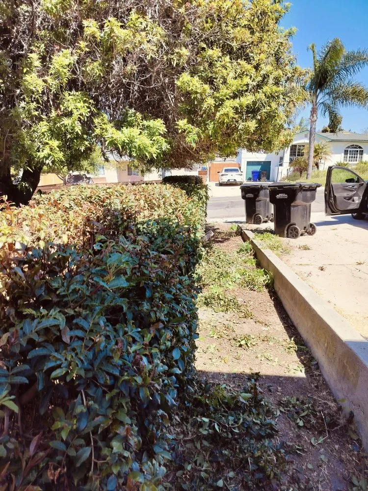 Trusted outdoor landscaping for beautiful yards across San Diego, CA - Gaia Greenworkz