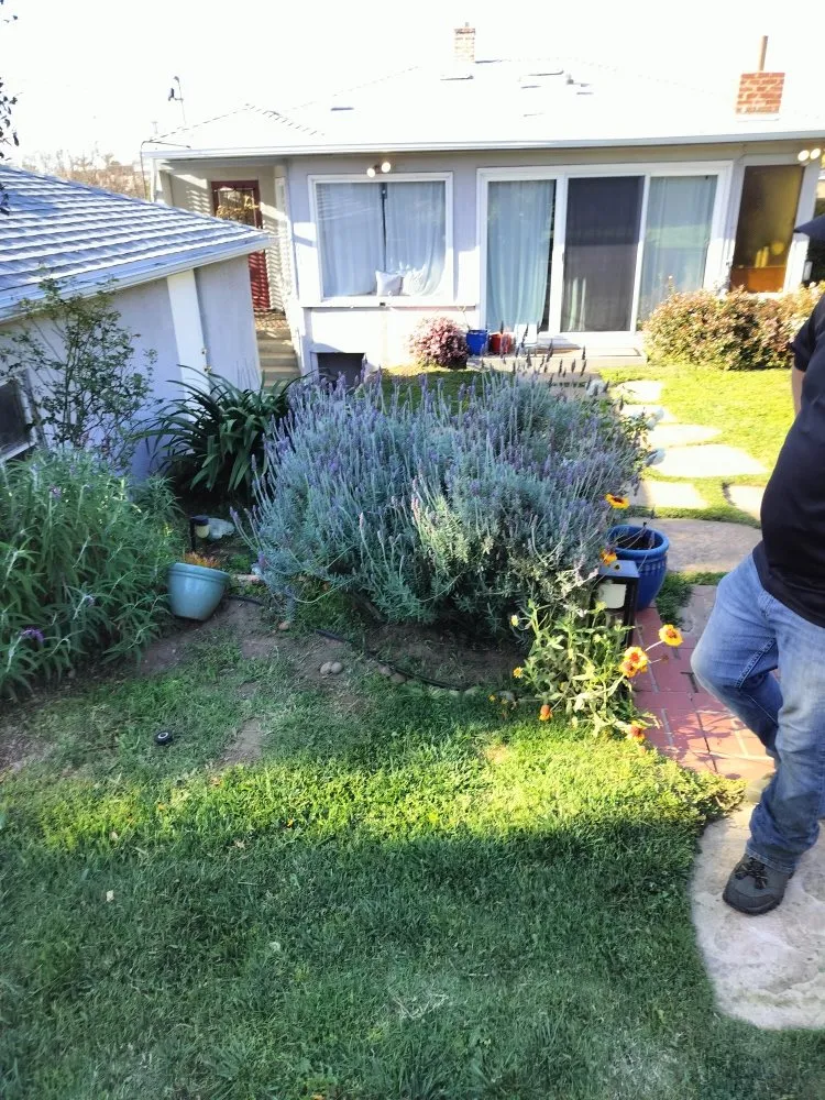 Top-rated garden landscaping in San Diego, CA by Gaia Greenworkz