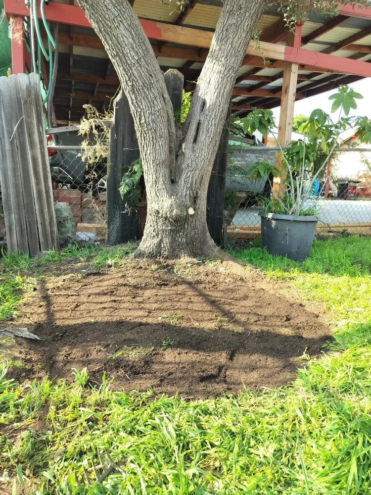 Professional landscaping services in San Diego, CA - Gaia Greenworkz