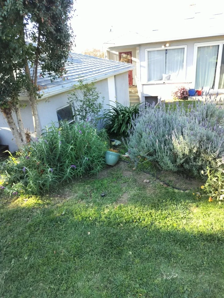 Custom yard maintenance for beautiful yards in San Diego, CA by Gaia Greenworkz
