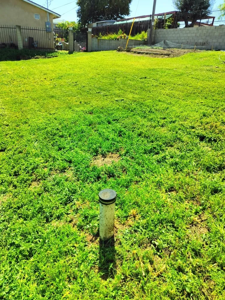 Professional garden landscaping in San Diego, CA - Gaia Greenworkz