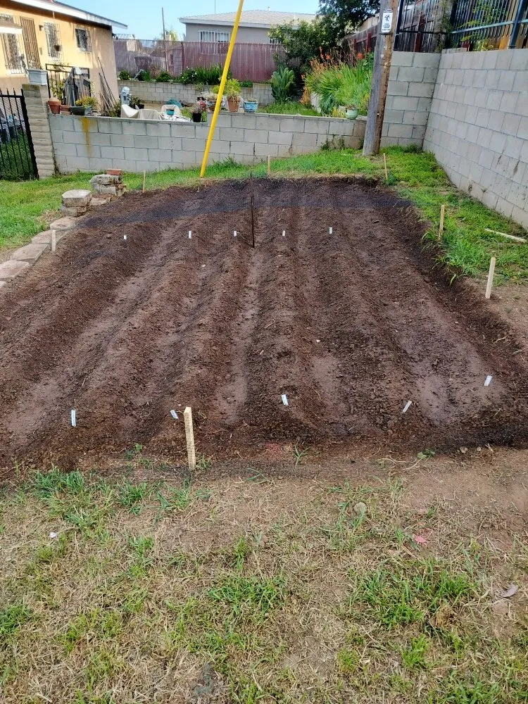 Affordable lawn mowing service for residential properties in San Diego, CA by Gaia Greenworkz