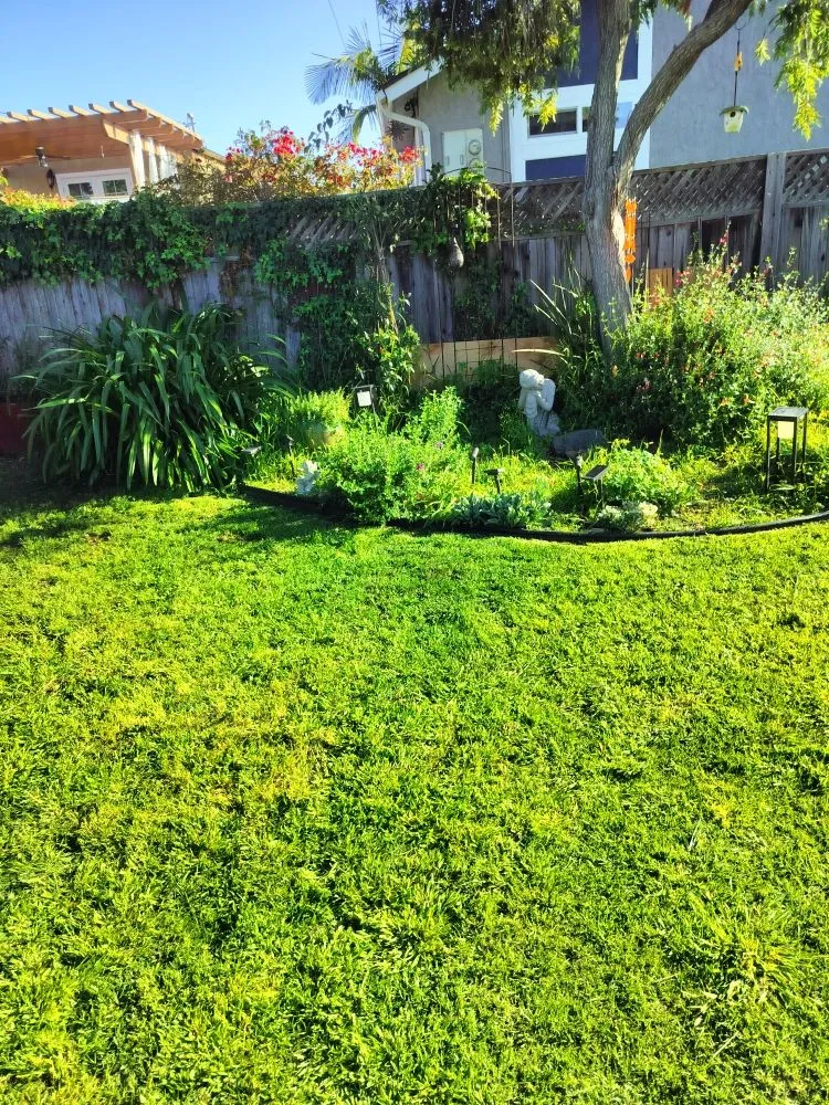 Professional yard cleanup service for homes across San Diego, CA - Gaia Greenworkz