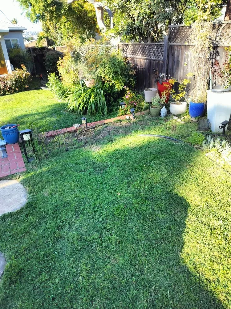 Trusted residential landscaping in San Diego, CA - Gaia Greenworkz