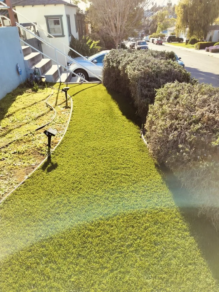 Custom outdoor landscaping in San Diego, CA by Gaia Greenworkz