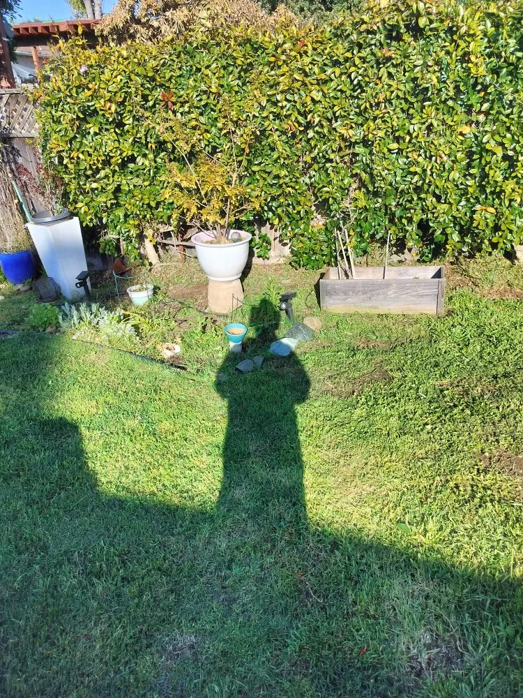 Trusted landscape installation in San Diego, CA by Gaia Greenworkz