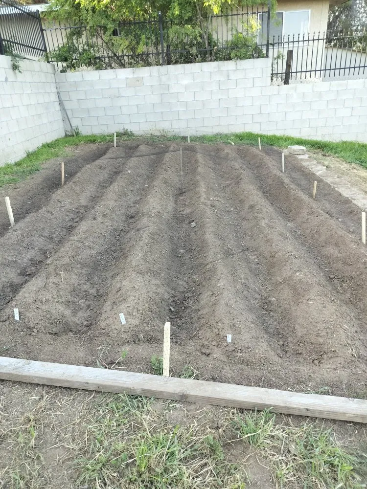 Top-rated landscape installation with custom design across San Diego, CA - Gaia Greenworkz