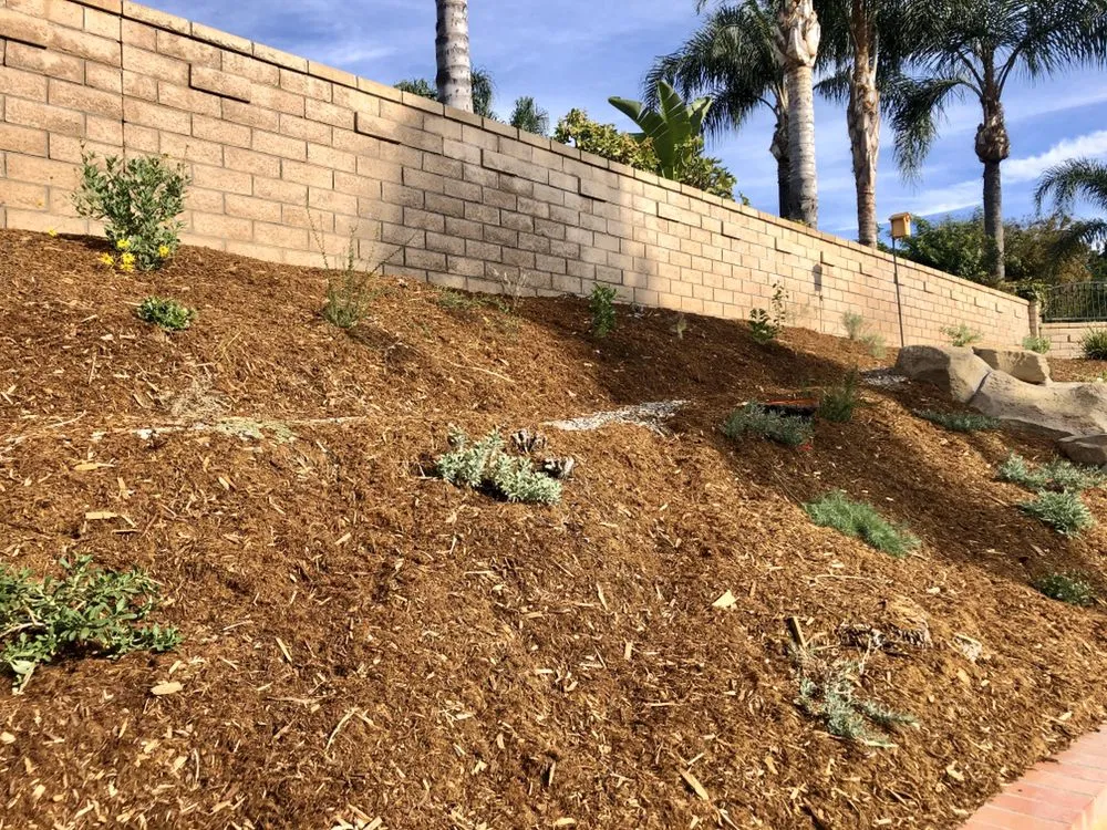 Trusted lawn care service with custom design across Moreno Valley, CA - Gaia Nativescapes