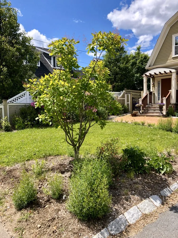 Reliable landscape design in Moreno Valley, CA by Gaia Nativescapes