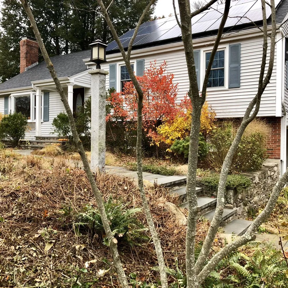 Local yard maintenance for year-round maintenance in Moreno Valley, CA by Gaia Nativescapes