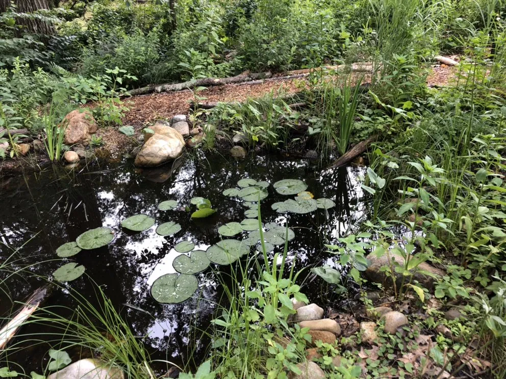 Local residential landscaping in Moreno Valley, CA by Gaia Nativescapes