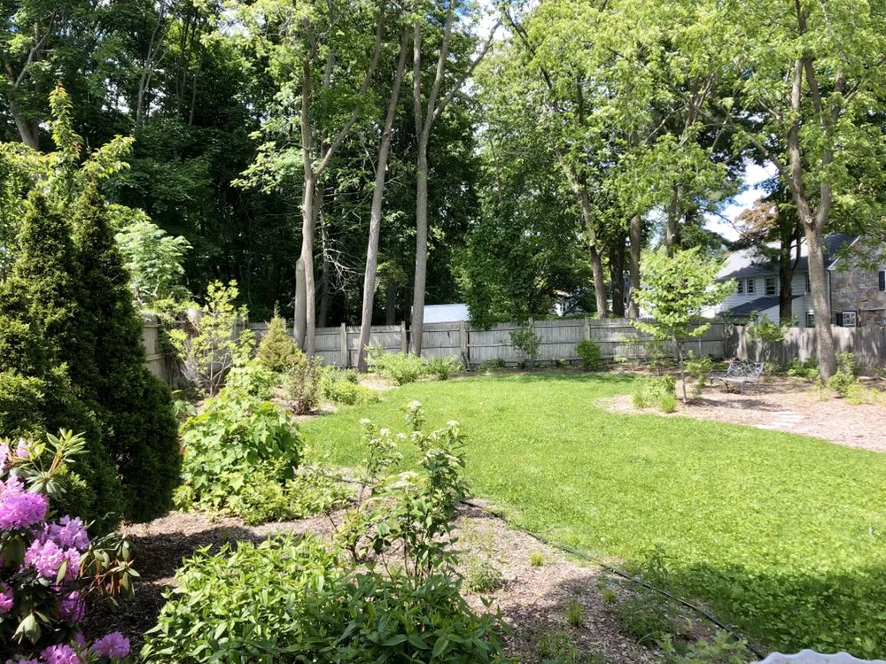 Professional landscaping services in Moreno Valley, CA - Gaia Nativescapes