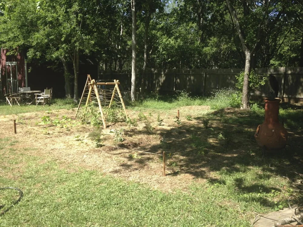 Top-rated yard maintenance for outdoor upgrades across Austin, TX - Gaia's Permaculture Design and Landscape