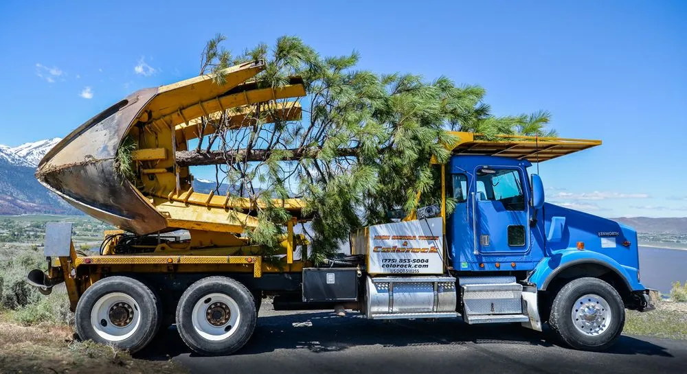 Local yard maintenance for residential properties in New Washoe City, NV by Gail Willey Landscaping Inc.